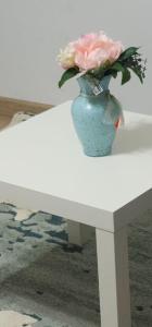 Old City Cozy Apartment