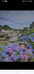 Campings Kerlann : photos des chambres