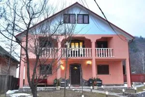 Pensiunea Lui Nea Nicu Lepsa - Hăulişca