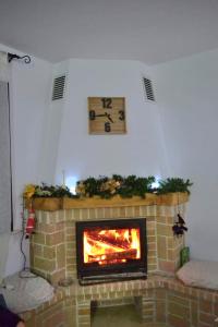 Pensiunea Lui Nea Nicu Lepsa