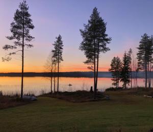 Auhon sarastus - Dream by a lake