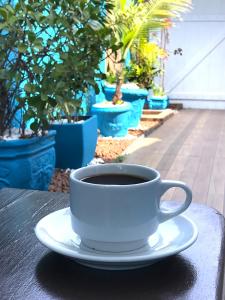 Pousada Turquesa By Gente Bonita