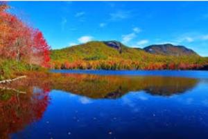 Brand New Luxury Old Port Home with Hot Tub - Fire Pit -Sleeps 10