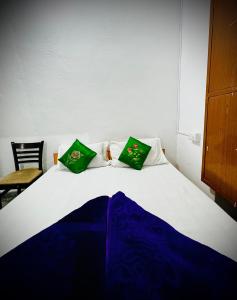 Mohan Villa Guest House