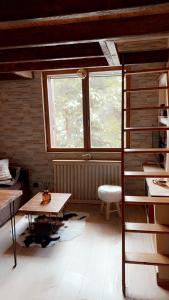 Appartements Petit Ours Blanc : photos des chambres