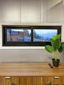 Tiny House Premium con vistas panorámicas y cercanía a la playa - Pet Friendly