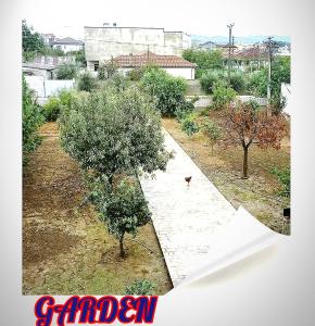Villas Mari--anna for rent best view