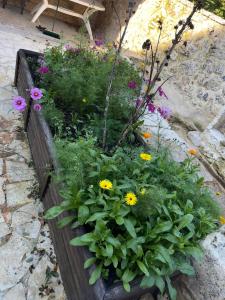 La Maison Bleue Classée 3 étoiles