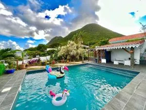 Magnifique Villa avec Piscine et mer - Fond Fleury