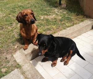 Luis&Susy Home, img40