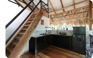 Evolution House Jungle Oasis