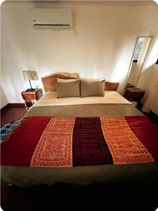 Evolution House Jungle Oasis