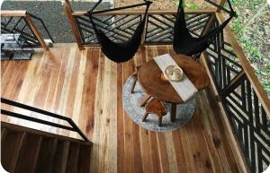 Evolution House Jungle Oasis