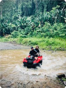 Evolution House Jungle Oasis