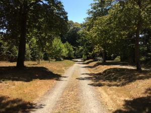 Gîte historique au château de charme proche du Mans - FR-1-410-453