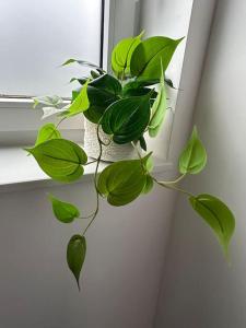 Chambre neuve 1 ou 2 personnes