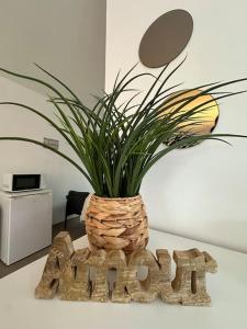 Chambre neuve 1 ou 2 personnes