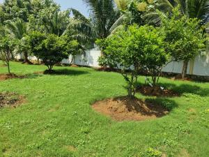 Sivarama garden resort,7 BHK swimming pools&Box cricket night play & AC, kichan withequipment,near bheemili beach road , vishakhapatnam