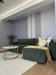 Grey Residence - 德罗贝塔-塞维林堡