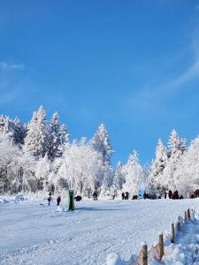 Haus Nina near Willingen and Winterberg