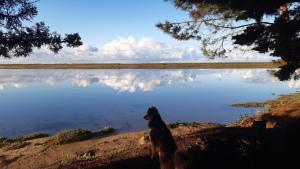 Villas Superbe chaumiere en bord de mer : photos des chambres