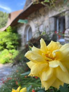 Villas Superbe chaumiere en bord de mer : photos des chambres