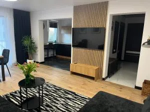 Apartament POLA - 帕斯文克