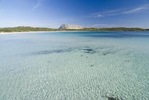 PierHouse Li Piri img50