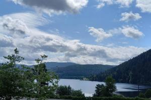 Appartements Nouveau loft a moins de 100m du lac classe 2 etoiles : photos des chambres