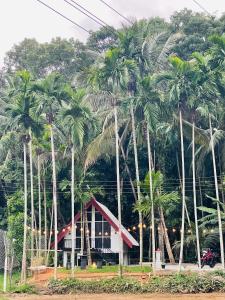 Puwak sewana cabana and resort පුවක් සෙවන