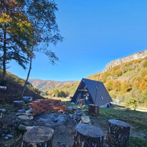 Charpatian Log Cabin Dragoslavele