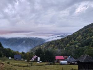 Charpatian Log Cabin Dragoslavele