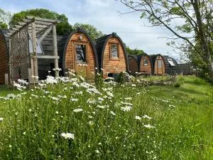 Hedgehog Glamping Pod School House Farm - 马奇温洛克