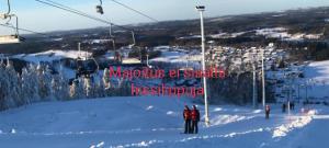 Nina`s GuestHouse 160m2, Jämsä City, Include x2 Himos SkiPass