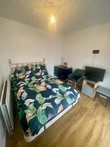 Elegant single-occupancy double bed room(1 person only) - Morriston