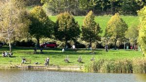 NEO resort jezero Bruje