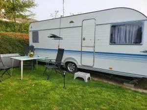 Johanna 's have - Fåborg