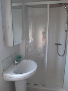 Swallows at Silversands