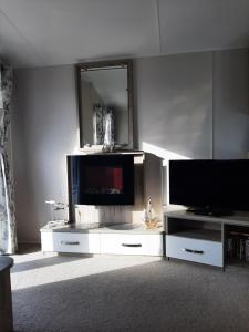 Swallows at Silversands