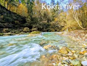 Domen's cozy rentals - Britof