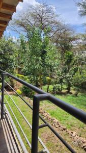 Jazzawanda Forest Retreat