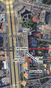 Vila Ris Piata Romana