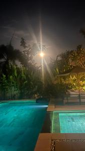 Beachfront Rice Field View Lovina Villa Serenity Bali