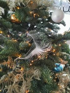 Le Son du Silence, gite 8 personnes avec sauna au bord du lac de Robertville et au pied des Hautes Fagnes