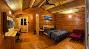 Chalets in Agumbe RainForest