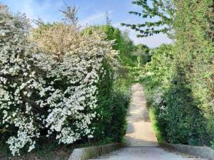 Appartements Le Domaine Reserve , parking et ecrin de verdure : photos des chambres