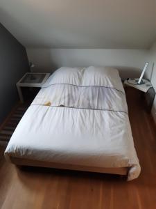 Sejours chez l'habitant Hansi - Adults Only : photos des chambres