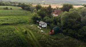 Căsuța Sara- the story of nature