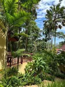 Patong Beach森林屋111