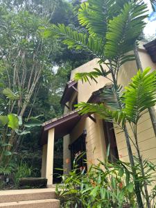 Patong Beach森林屋111